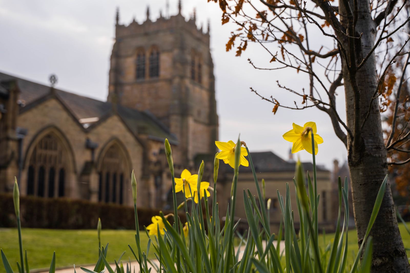 Bradford Cathedral in the Spring